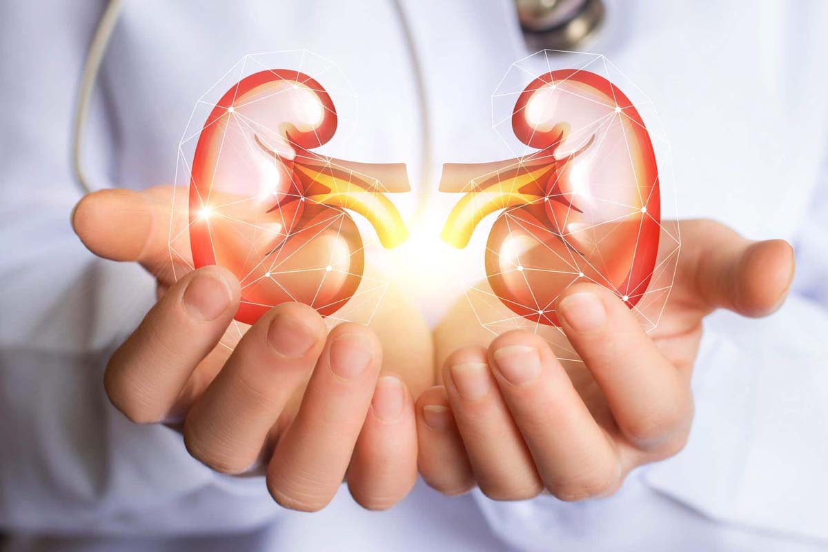 நீரிழிவு நோயாளிகளே! சிறுநீரகத்தினை ஆரோக்கியம் வைத்துக் கொள்ளனுமா? இந்த தவறை செய்யாதீங்க | Kidney Damage For Diabetics Patient Diet Tips நீரிழிவு நோயாளிகளே! சிறுநீரகத்தினை ஆரோக்கியம் வைத்துக் கொள்ளனுமா? இந்த தவறை செய்யாதீங்க | Kidney Damage For Diabetics Patient Diet Tips