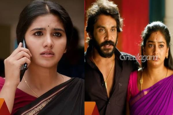 சன் டிவியில் அதிக பட்ஜெட்டில் எடுக்கப்பட்ட சீரியல்கள்... ஒரு லிஸ்ட் இதோ | Big Budget Serials In Sun Tv List