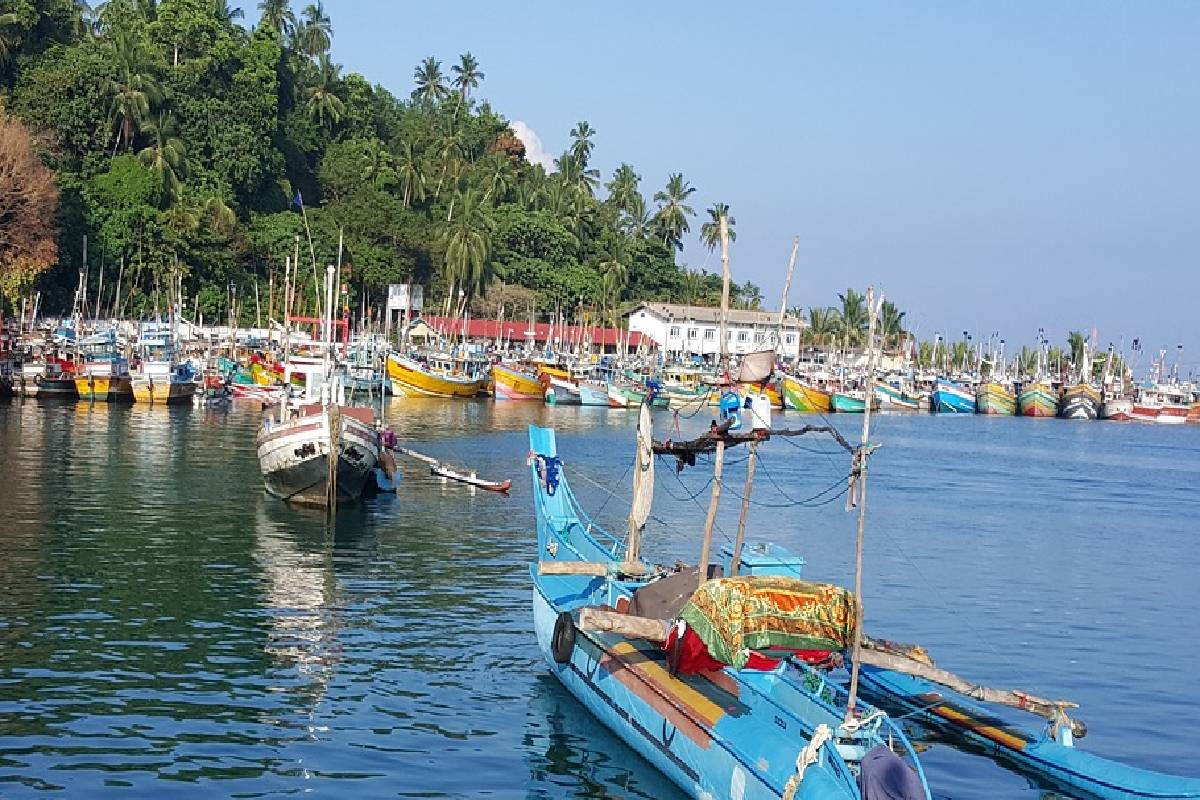 கடற்றொழிலாளர்களுக்கு நற்செய்தி ; தடையின்றி எரிபொருள் கிடைக்க புதிய நடைமுறை | Good News Fishermen Procedure Ensure Uninter Fuel