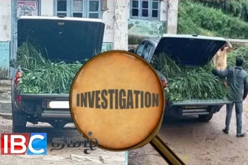 அரச எம்.பியின் வாகனத்தில் மாடுகளுக்கு கொண்டு செல்லப்பட்ட புல் :ஆரம்பமானது விசாரணை