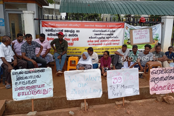 முத்து நகர் விவசாயிகளை ஏமாற்றும் பிரதியமைச்சர்! முன்வைக்கப்பட்டுள்ள குற்றச்சாட்டு | Muthu Nagar Farmers Satyagraha Protest முத்து நகர் விவசாயிகளை ஏமாற்றும் பிரதியமைச்சர்! முன்வைக்கப்பட்டுள்ள குற்றச்சாட்டு | Muthu Nagar Farmers Satyagraha Protest