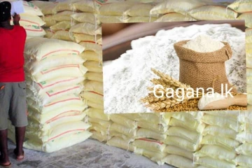 තිරිගු පිටි මිල යළි ඉහළ යයි?...වෙළඳ පොළේ පිටි හිඟයක්..