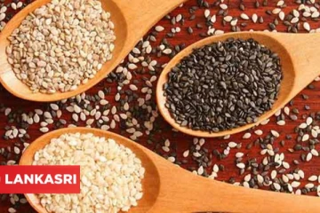 தினமும் சிறிதளவு எள் சாப்பிட்டு வந்தால் கிடைக்கும் நன்மைகள் என்ன தெரியுமா?