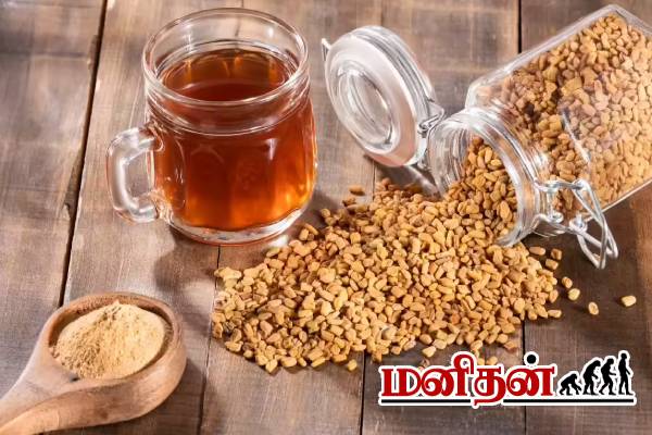 ஒல்லியான இடுப்பு வேணுமா? அப்போ வெந்தயத்தை இப்படி சாப்பிடுங்க | Fenugreek For Weight Loss In Tamil
