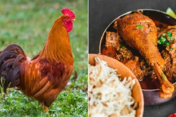 900 நாட்டுக்கோழிகளை வாங்கி சாப்பிட்டு.., விவசாயிக்கு லோன் கொடுப்பதாக ஏமாற்றிய மேனேஜர்