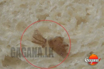 පාන් ගෙඩියකින් සේවකයෙකුගේ ඇගිලි සමෙක කොටසක් [PHOTOS]