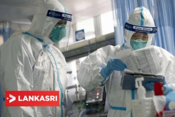 வவ்வால் உடலில் இருந்து மனிதர்கள் உடலில் புகுந்த கொரோனா! உலகை அதிர்ச்சியடைய வைத்த ஒரு ஆய்வு