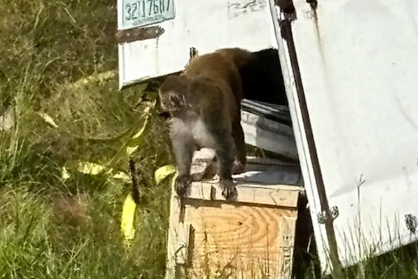 அமெரிக்கர்களுக்கு விடுக்கப்பட்டுள்ள அவசர எச்சரிக்கை | Emergency Warning Issued To The American People