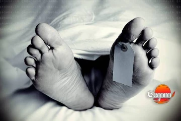 වන අලියෙකු පහරදීමෙන් කාන්තාවක් මරුට