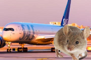 நடுவானில் கண்ணில் தென்பட்ட எலி! அவசர தரையிறக்கம் செய்யப்பட்ட விமானம்!