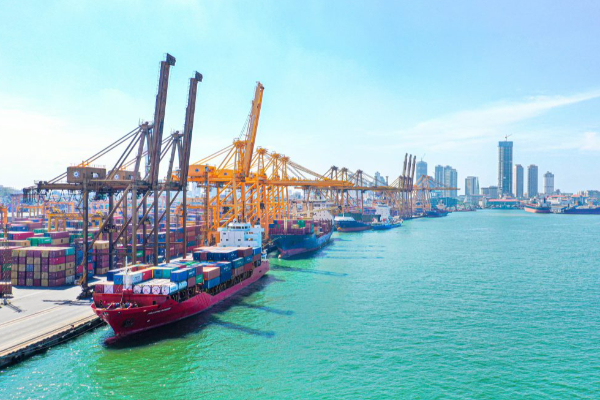 2025 இல் வரலாற்று சாதனை படைத்த கொழும்புத் துறைமுகம் | 8 290 000 Containers Handled At Colombo Port 2025 2025 இல் வரலாற்று சாதனை படைத்த கொழும்புத் துறைமுகம் | 8 290 000 Containers Handled At Colombo Port 2025