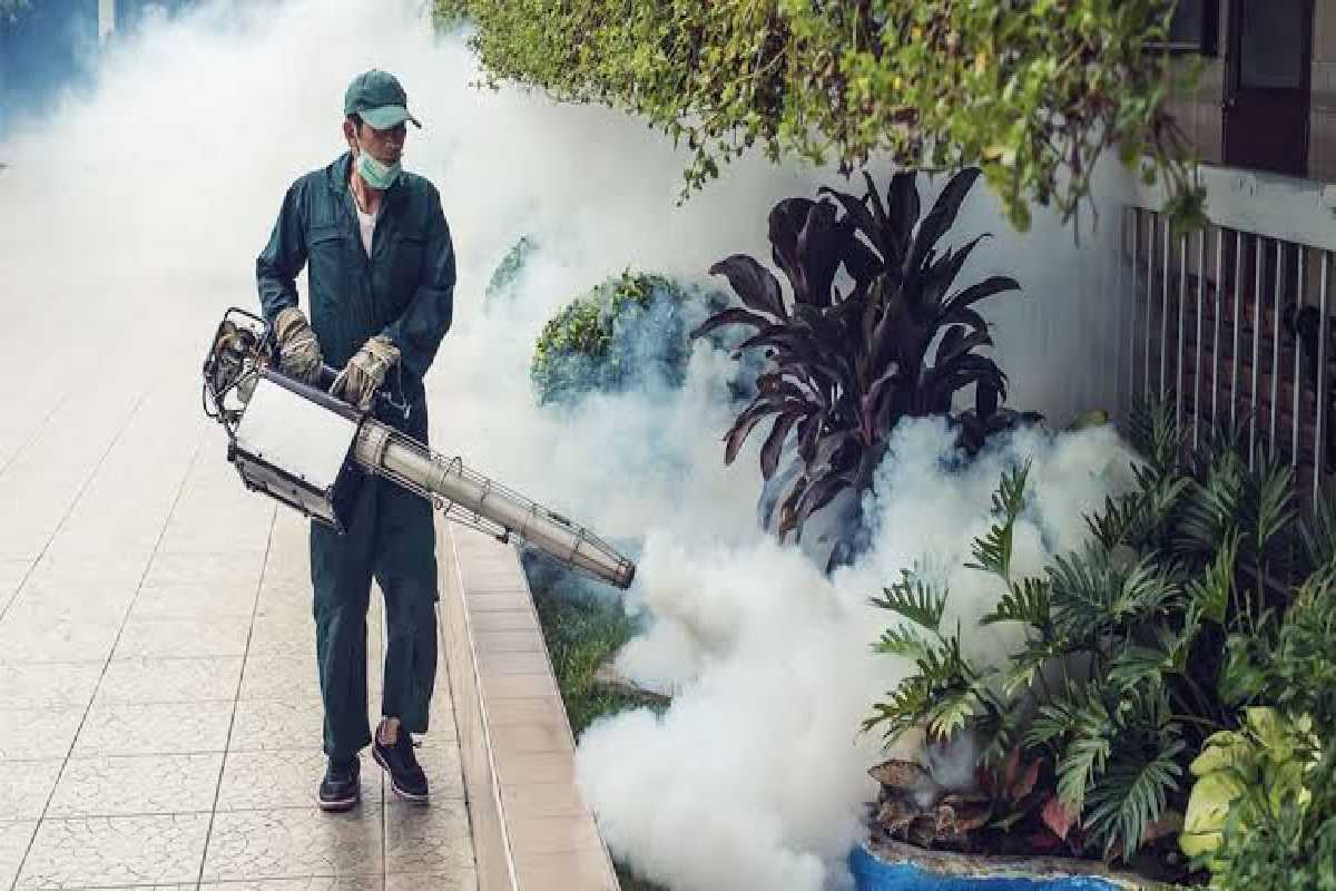 ஆபத்தான மட்டத்தில் டெங்கு : அமைச்சர் நலிந்த அபாய அறிவிப்பு | Dengue Minister Declares Danger Level Low ஆபத்தான மட்டத்தில் டெங்கு : அமைச்சர் நலிந்த அபாய அறிவிப்பு | Dengue Minister Declares Danger Level Low