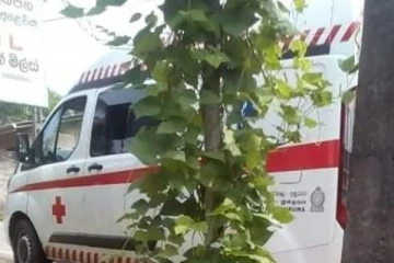 தென்னிலங்கையில் ஊழியர்களை அம்புலன்ஸ் வண்டியில் ஜாதகம் பார்க்க அழைத்து சென்ற வைத்தியர்