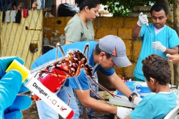 இளைஞர்கள் மத்தியில் வேகமாக பரவும் டெங்கு: எச்சரிக்கும் சுகாதாரத்துறை