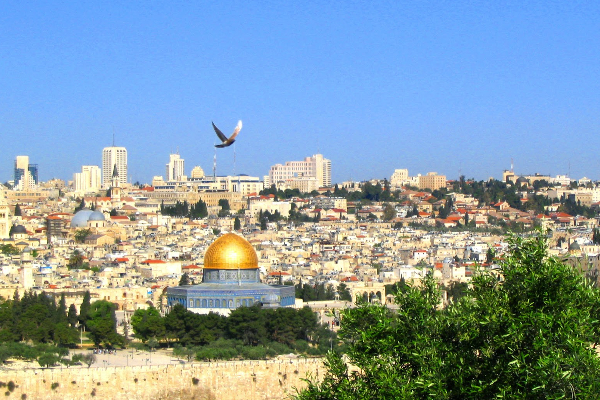 விடுதலைப் புலிகள் பாசிசவாதிகளா..! இலங்கை அரசை பார்த்துச் சொல்ல முடியுமா... | Are The Ltte Fascists