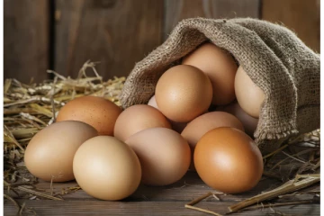 முட்டையின் நிர்ணய விலை தொடர்பில் வெளியான அறிவிப்பு