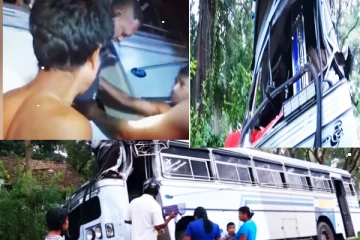 யானையுடன் பேருந்து மோதி விபத்து: 4 பேர் வைத்தியசாலையில்