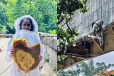 උපාධි ලෝගුවෙන් සැරසෙන්නට පෙර ඇයත්.. මහවැලිය උඩ ජීවිතයත් මරණයත් අතර අභියෝගාත්මක සටනක් - මුහුණු පොතම කැළඹූ සරසවි සිසුවිය [PHOTOS]