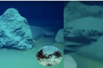 எந்த ஒரு உயிரினமும் உடனடியாக உயிரிழந்துவிடும்; விஞ்ஞானிகள் பகீர் தகவல்!