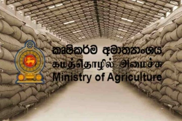 அரிசி கையிருப்பு தொடர்பில் விசேட கணக்கிடும் செயற்பாடுகள் ஆரம்பம்