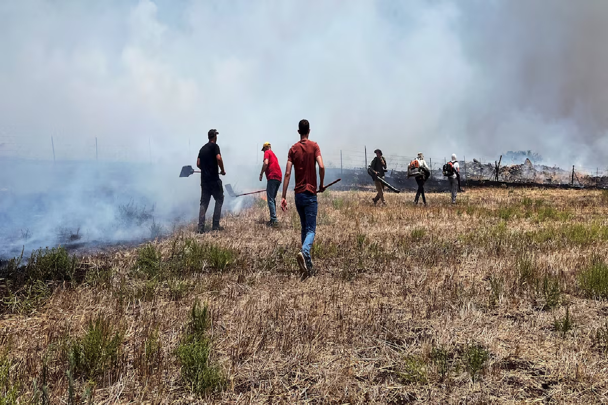 இஸ்ரேலுக்கு பேரிடி : இனம்காணமுடியாத புதியவகை ட்ரோன்களை ஏவி ஹிஸ்புல்லா தாக்குதல் | Hezbollah Launches Detect Drone 1St Time Israel இஸ்ரேலுக்கு பேரிடி : இனம்காணமுடியாத புதியவகை ட்ரோன்களை ஏவி ஹிஸ்புல்லா தாக்குதல் | Hezbollah Launches Detect Drone 1St Time Israel