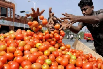 தக்காளியை பதுக்கினால் நடவடிக்கை : அமைச்சர் பெரிய கருப்பன் எச்சரிக்கை