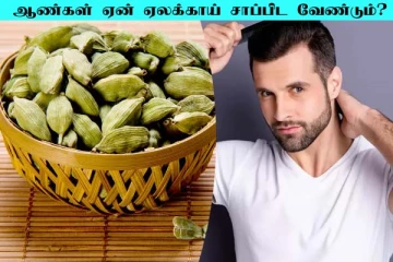 ஆண்கள் கட்டாயம் ஏலக்காய் சாப்பிட வேண்டும் ஏன்? ஏகப்பட்ட ரகசியம் இருக்குது