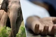காட்டு யானை மோதி வாகனம் விபத்து : ஒருவர் மரணம் -16 பேர் காயம்