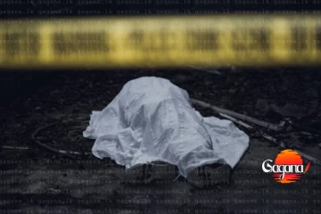 රටට මොකක්ද වුණේ? නාදුනන මළසිරුරු තුනක්