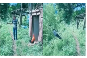 சேவலை திட்டி விரட்டிய நபர்... கோபத்தில் சேவல் செய்த காரியத்த பாருங்க... -  வைரல் வீடியோ