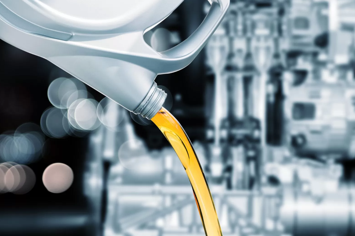 எரிபொருள் நெருக்கடி : நாளாந்தம் பழுதடையும் 50,000 கிலோ மரக்கறிகள் | Fuel Crisis In Sl 50000 Kg Vegetables Spoil Daily