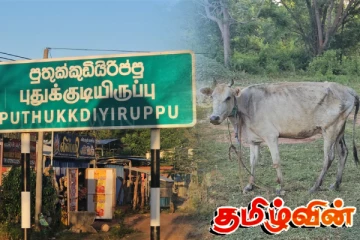 மாடுகளை இறைச்சிக்காக கடத்திய கும்பல் கைது