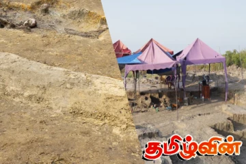 செம்மணிப் புதைகுழியில் பிரேத பெட்டியில் வைத்து அடக்கம் செய்யப்பட்ட சடலம் அடையாளம்