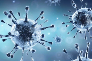 தமிழகத்தில் குறையும் கொரோனா பாதிப்பு  17 மாவட்டங்களில் புதிய உயிரிழப்பு இல்லை!