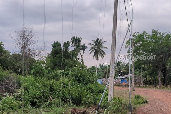 இலங்கையில் புதிதாக வடிவமைக்கப்பட்ட யானை வேலி முல்லைத்தீவில் அறிமுகம் | Human Elephant Conflict Is Increasing In Srilanka