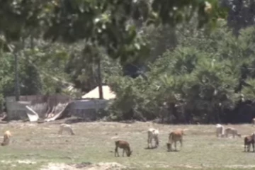 கிளிநொச்சியில் இயற்கை அரண்கள் நிறைந்ததாக காணப்படும் ஒரு அழகிய கிராமம்!