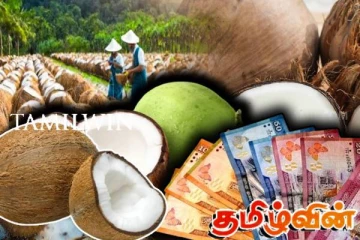 தேங்காயின் விலை 300 ரூபாவாக அதிகரிக்கும் அபாயம்