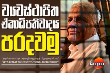 රනිල්ට සහාය පළ කරමින් හෙට කොළඹදී විරෝධතාවක්