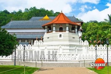 "ශ්‍රී දළදා වන්දනාව" අද සිට විශේෂ රථවාහන සැලැස්මක්