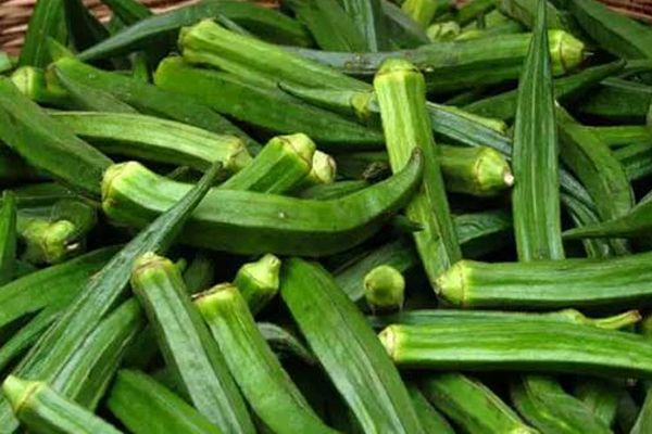 பலாப்பழத்துடன் இந்த பொருட்களை உட்கொள்ளவே கூடாதாம் | These Products Should Consumed With Jackfruit