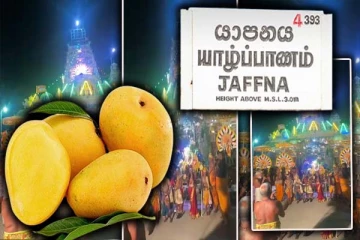 யாழ்ப்பாணத்தில் ஏழு இலட்சத்திற்கு ஏலம் போன ஒரு மாம்பழம்