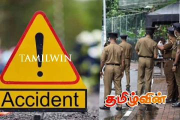 விபத்தில் பசு மாடு மரணம் : கல்லுண்டாய் வெளியில் துயரம்