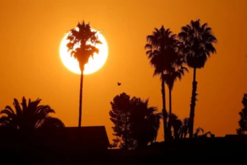 வெப்ப அலையில் சிக்கி 200 பேர் மரணம் - அதிர்ச்சி தகவல்