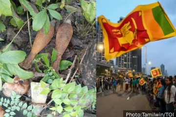 இலங்கையில் கண்டெடுக்கப்பட்ட இரண்டு வெடிக்காத மோட்டார் குண்டுகள்: பொலிஸார் விசாரணை தீவிரம்