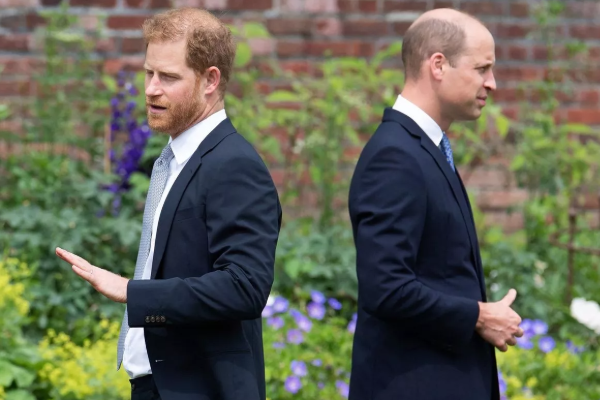 இளவரசர் ஹரியின் அச்சம்; நிபுணர் கூறும் செய்தி | Prince Harry Must Make Peace