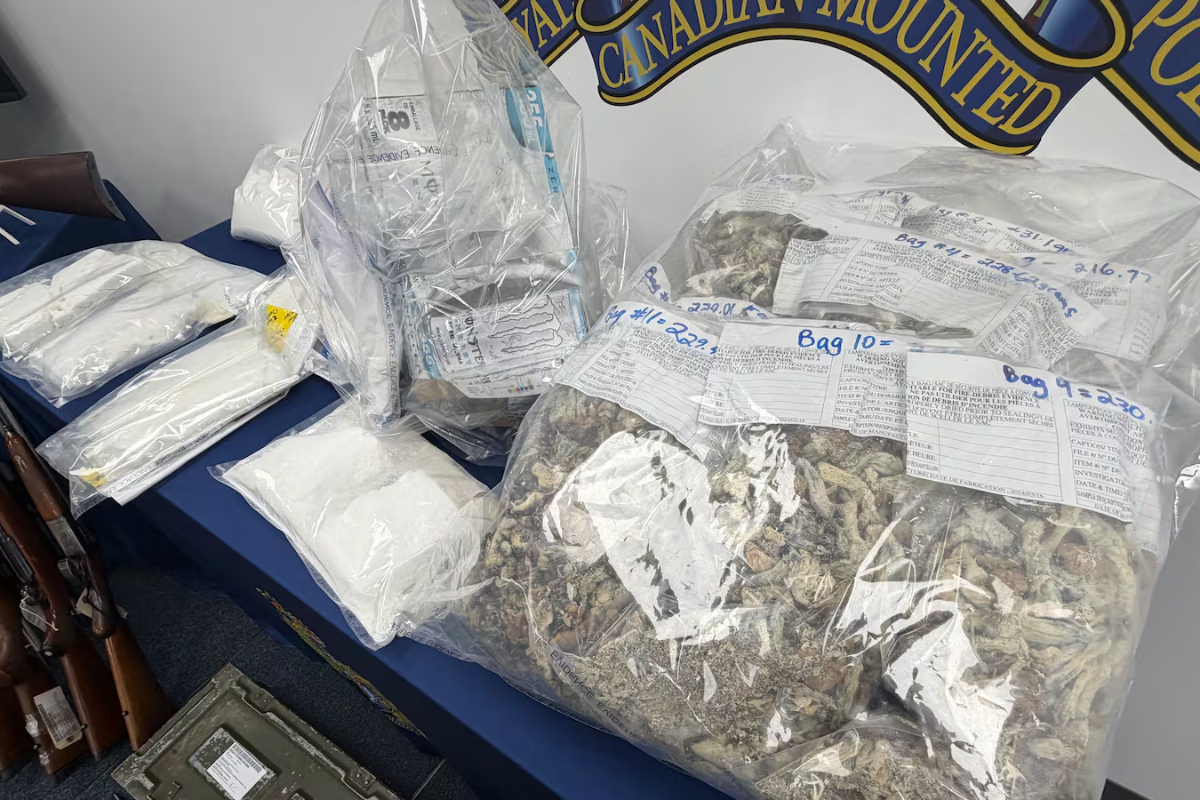 மனிடோபாவில் 19 மாத தீவிர சோதனை: 15 பேர் மீது வழக்கு! | 15 Arrested Drugs And Guns Seized Manitoba