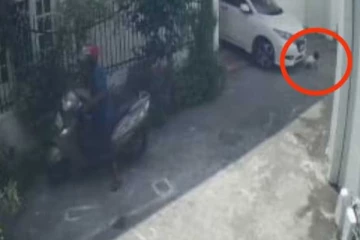 කෝටිපති ව්‍යාපාරික මාමා ගේ සුඛෝපභෝගී මෝටර් රථයට යට වූ, අවුරුදු එක හමාරක පුංචි මල් කැකුළ..