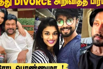 Chiranjeevi மகள் Sreeja-வும் Kalyan-யை Divorce செய்கிறாரா