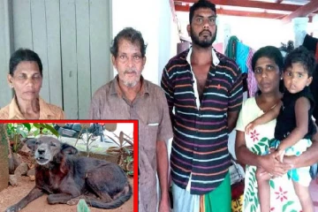 வளர்ப்பு நாயால் காப்பாற்றப்பட்ட 4 மனித உயிர்கள் - நெகிழ்ச்சியை ஏற்படுத்திய சம்பவம்