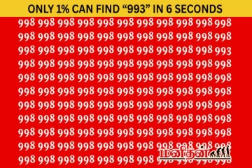 6 வினாடிகளில் "993" ஐக் கண்டுபிடிக்க முடியுமா?